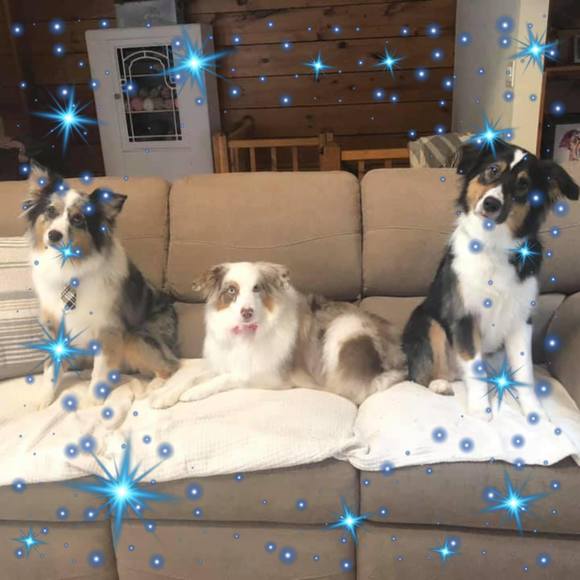 Meet your Posher, Tracy - Picture 1 of 1